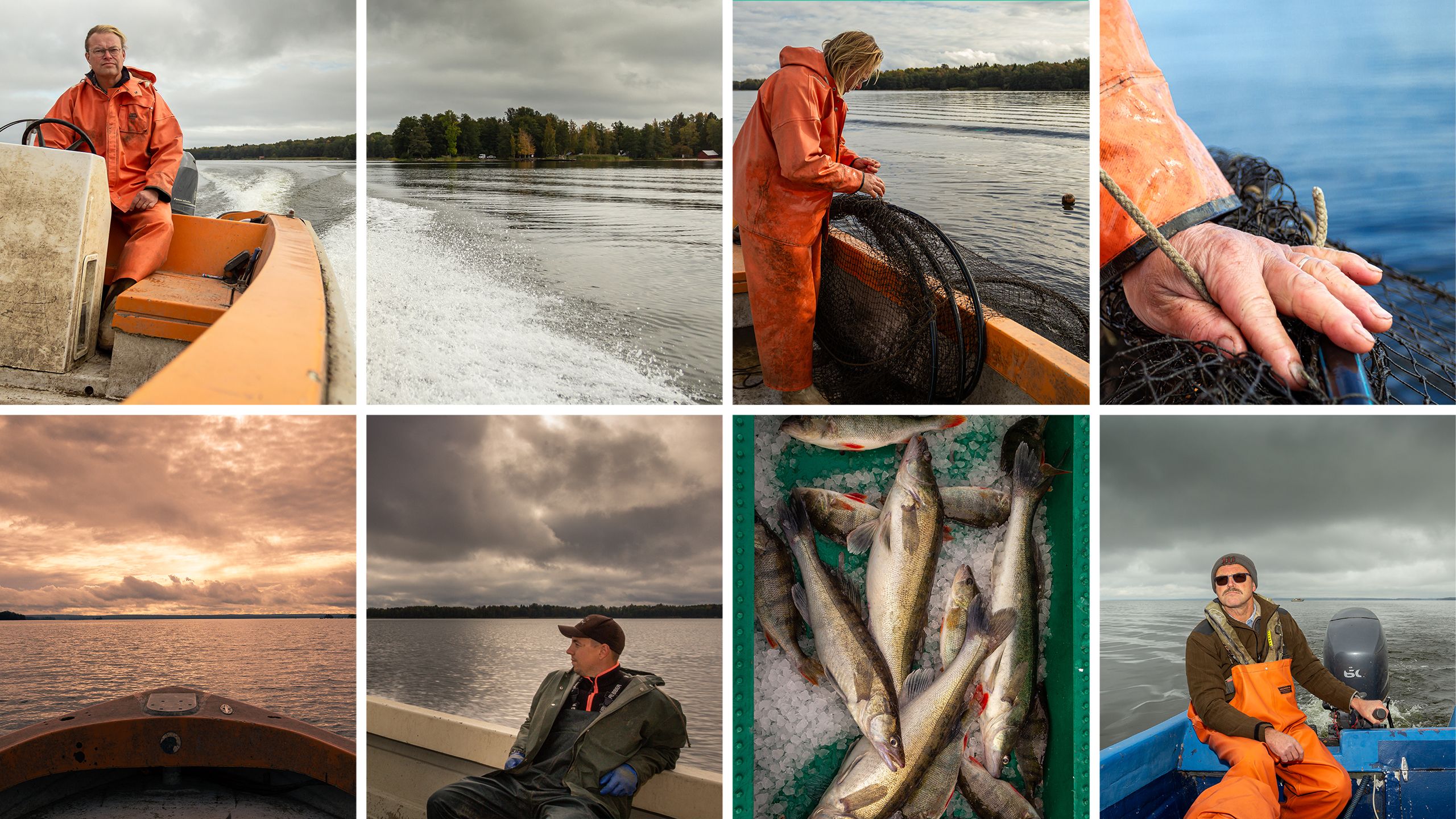Fishermen on their boats catching pike-perch